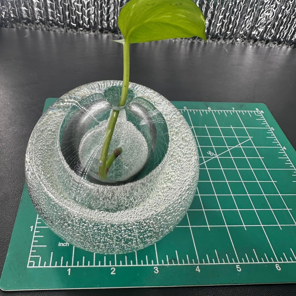 Glass Bud Vase 4in Clear Controlled Bubble Sphere Paperweight